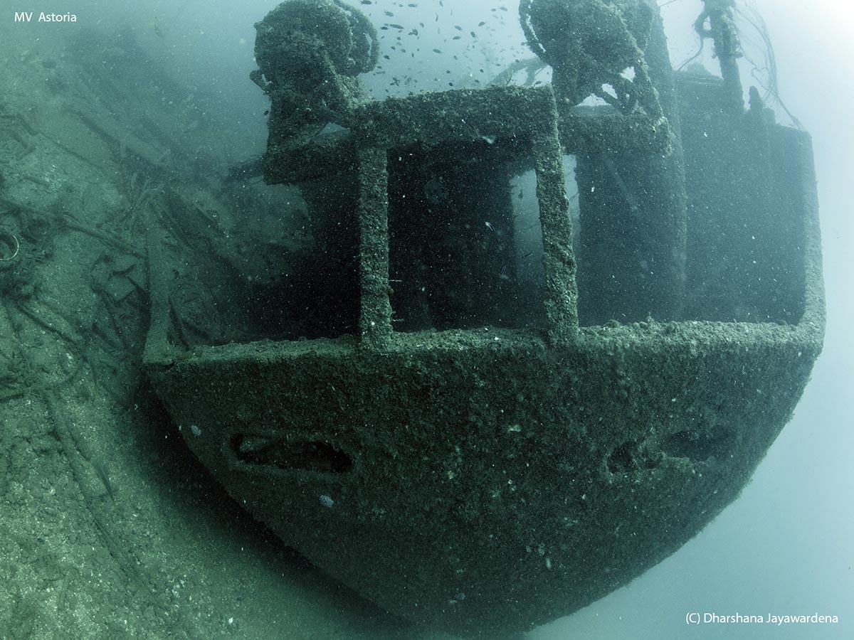 The Stern